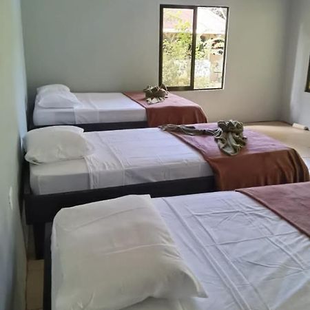 Cabinas Corcovado Green Parrot, Los Planes Drake Drake Bay Exterior foto