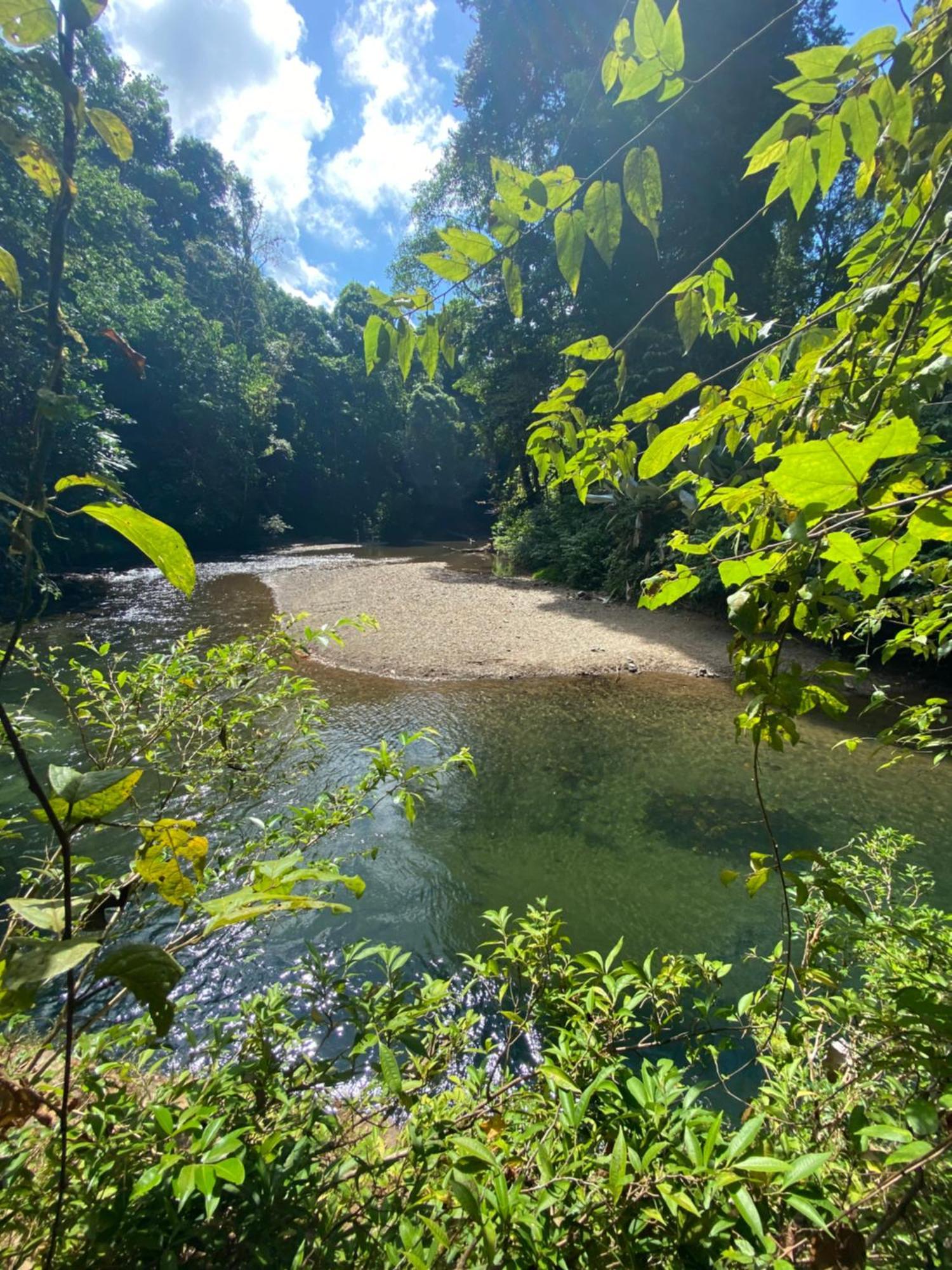 Cabinas Corcovado Green Parrot, Los Planes Drake Drake Bay Exterior foto
