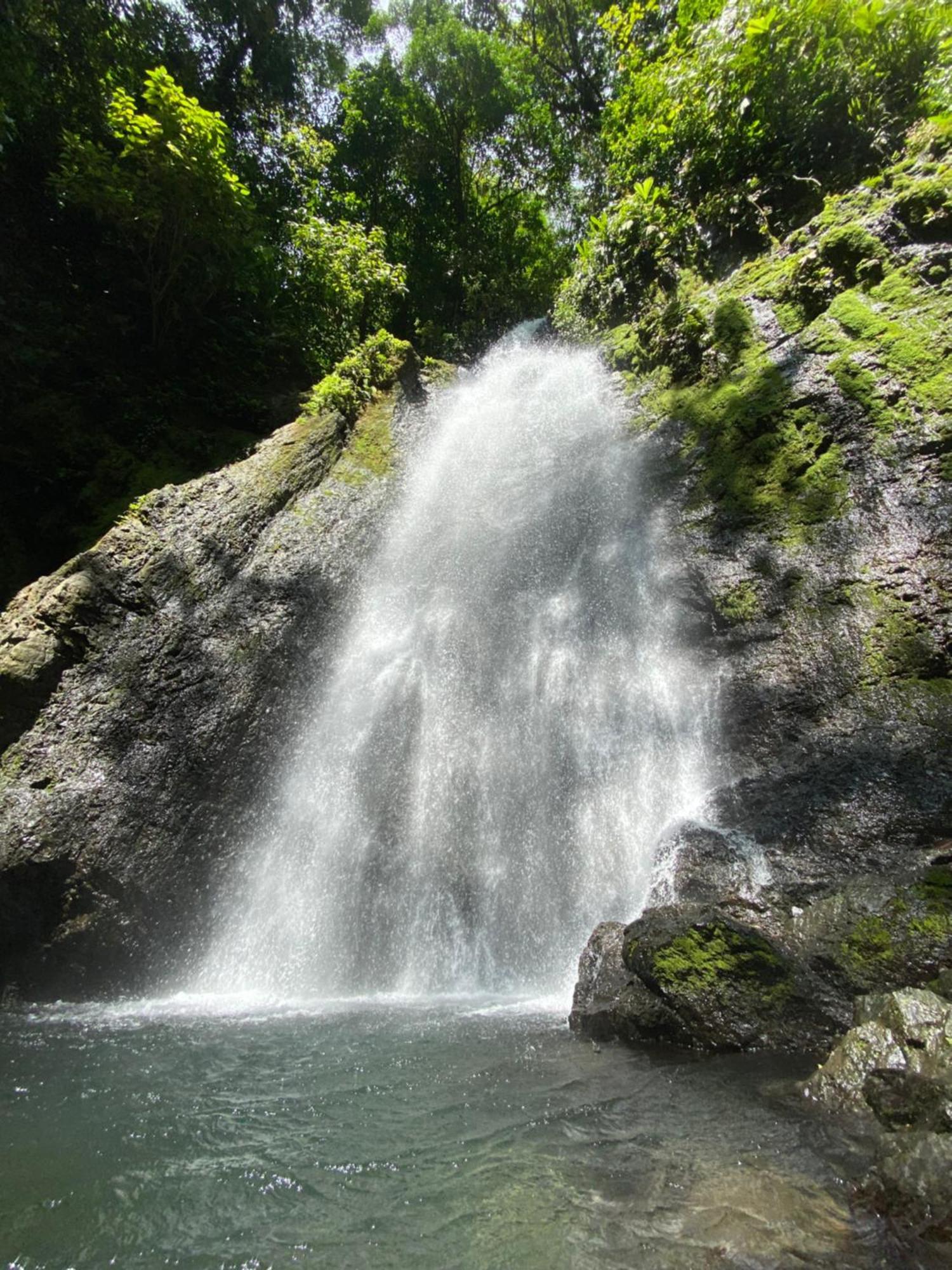 Cabinas Corcovado Green Parrot, Los Planes Drake Drake Bay Exterior foto