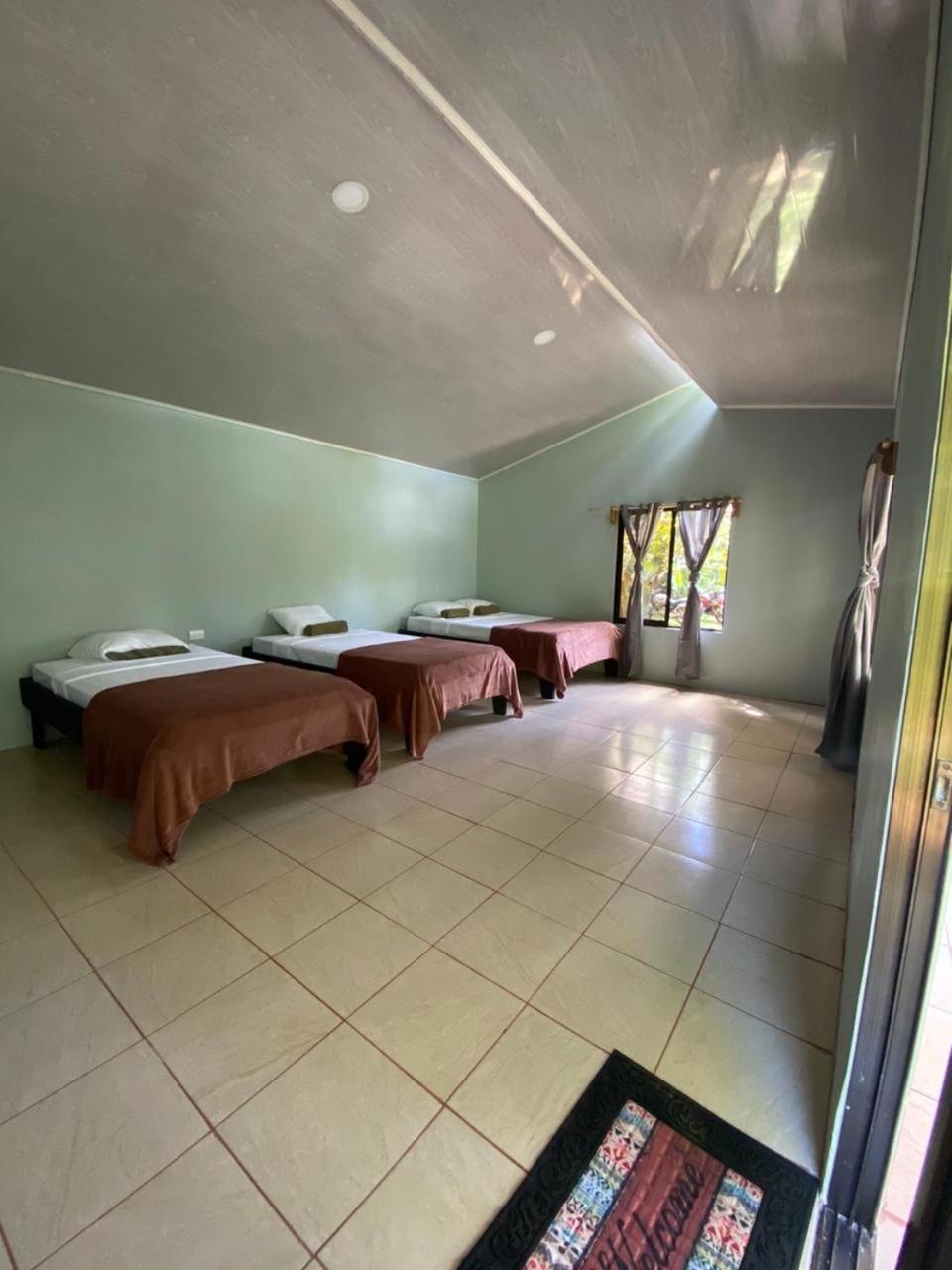 Cabinas Corcovado Green Parrot, Los Planes Drake Drake Bay Exterior foto