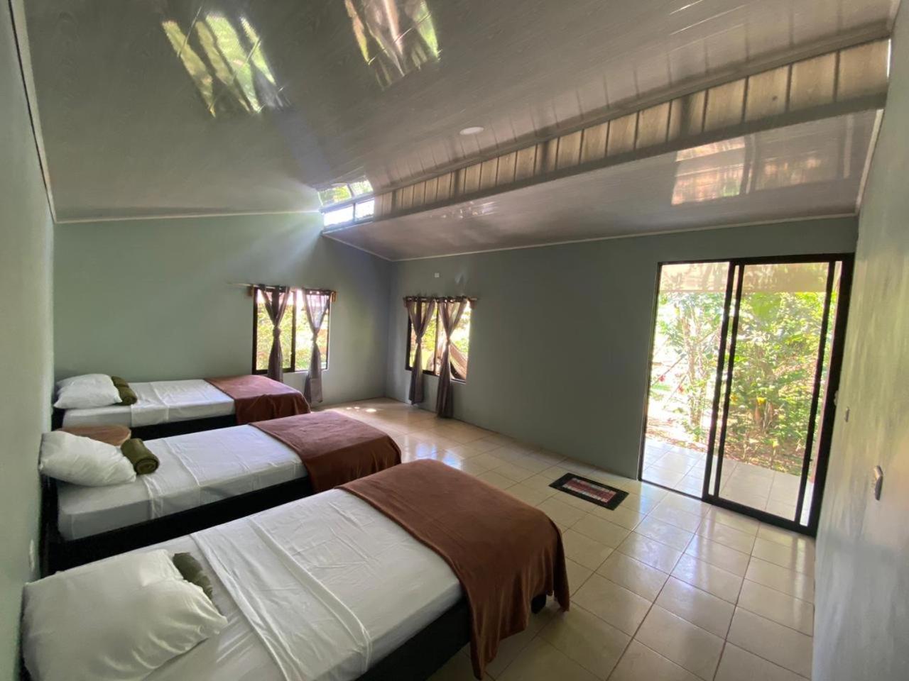 Cabinas Corcovado Green Parrot, Los Planes Drake Drake Bay Quarto foto