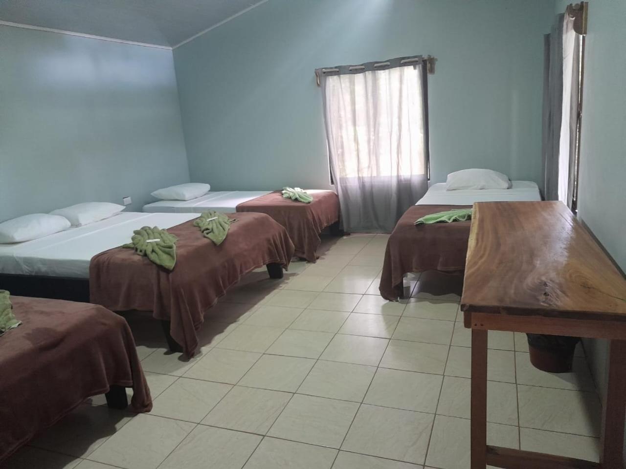 Cabinas Corcovado Green Parrot, Los Planes Drake Drake Bay Exterior foto