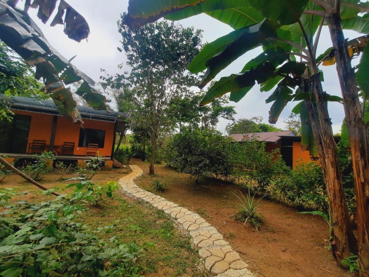 Cabinas Corcovado Green Parrot, Los Planes Drake Drake Bay Exterior foto