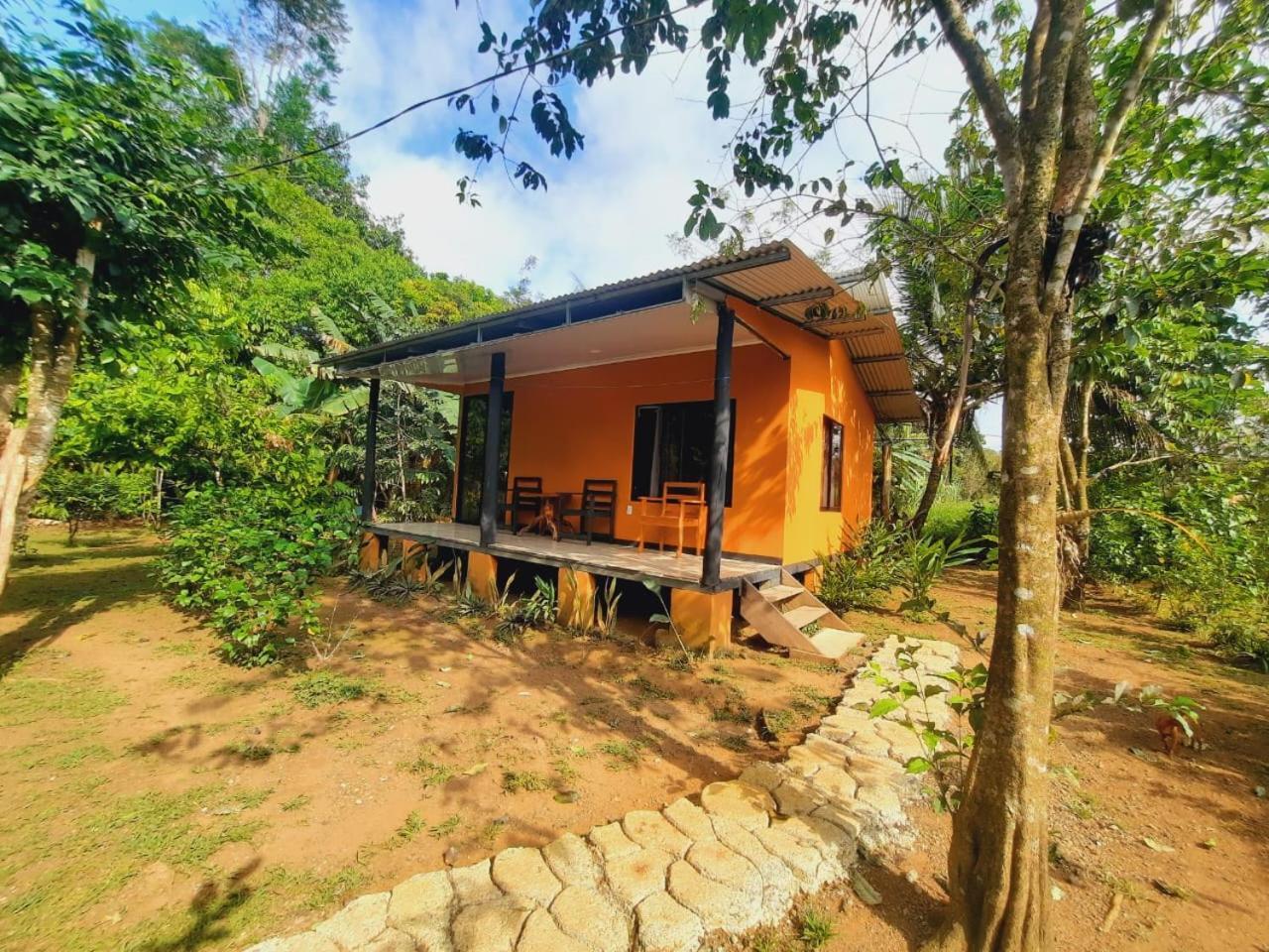 Cabinas Corcovado Green Parrot, Los Planes Drake Drake Bay Exterior foto